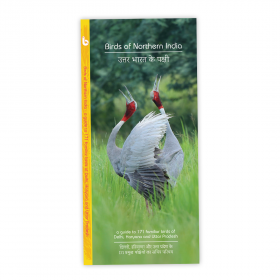 Birds of Northern India Pocket Guide: Set of 3