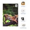 Tiger Print Mini Notebook