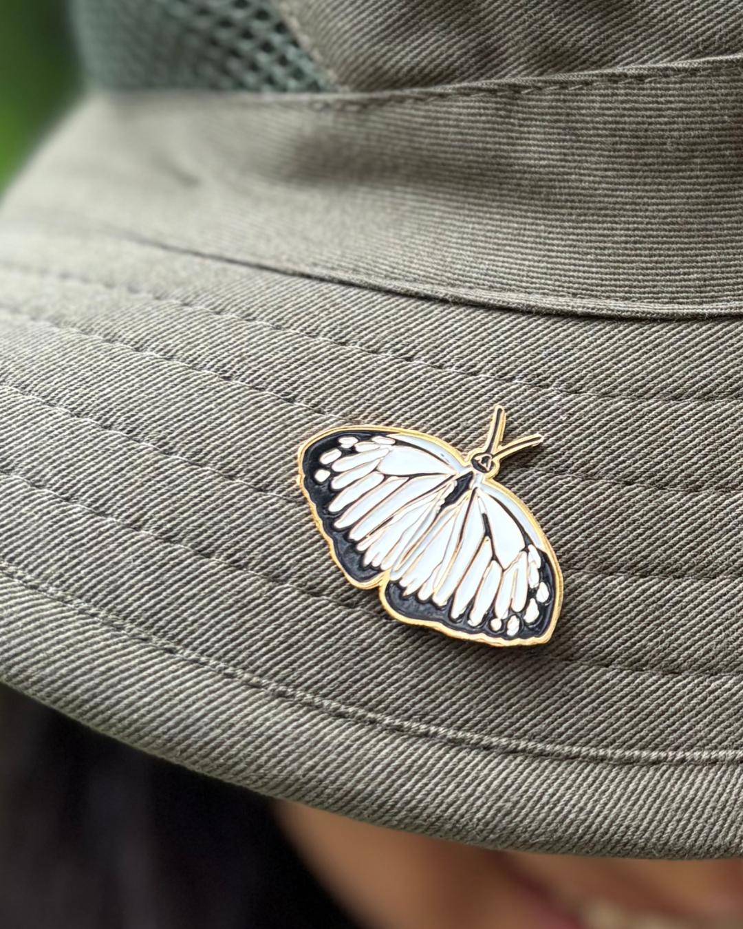 Indian Wanderer Butterfly (Pareronia hippia) - Lapel Pin - Image 3