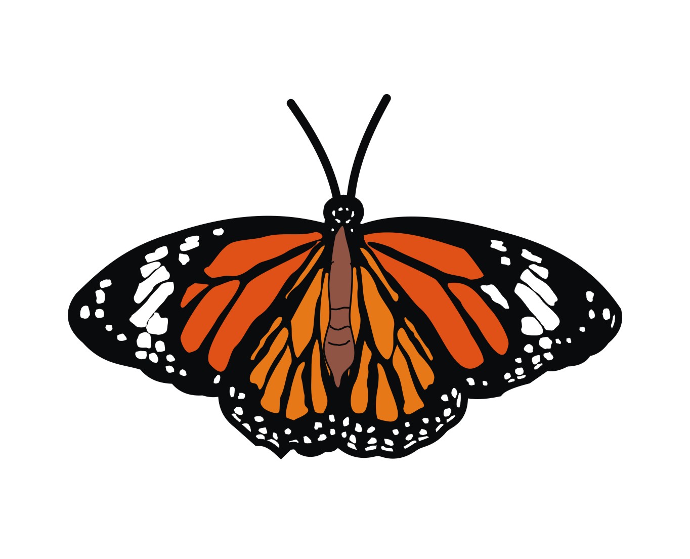 Striped Tiger Butterfly (Danaus genutia) - Lapel Pin