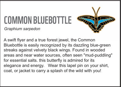 Common Bluebottle Butterfly (Graphium sarpedon) - Lapel Pin - Image 2