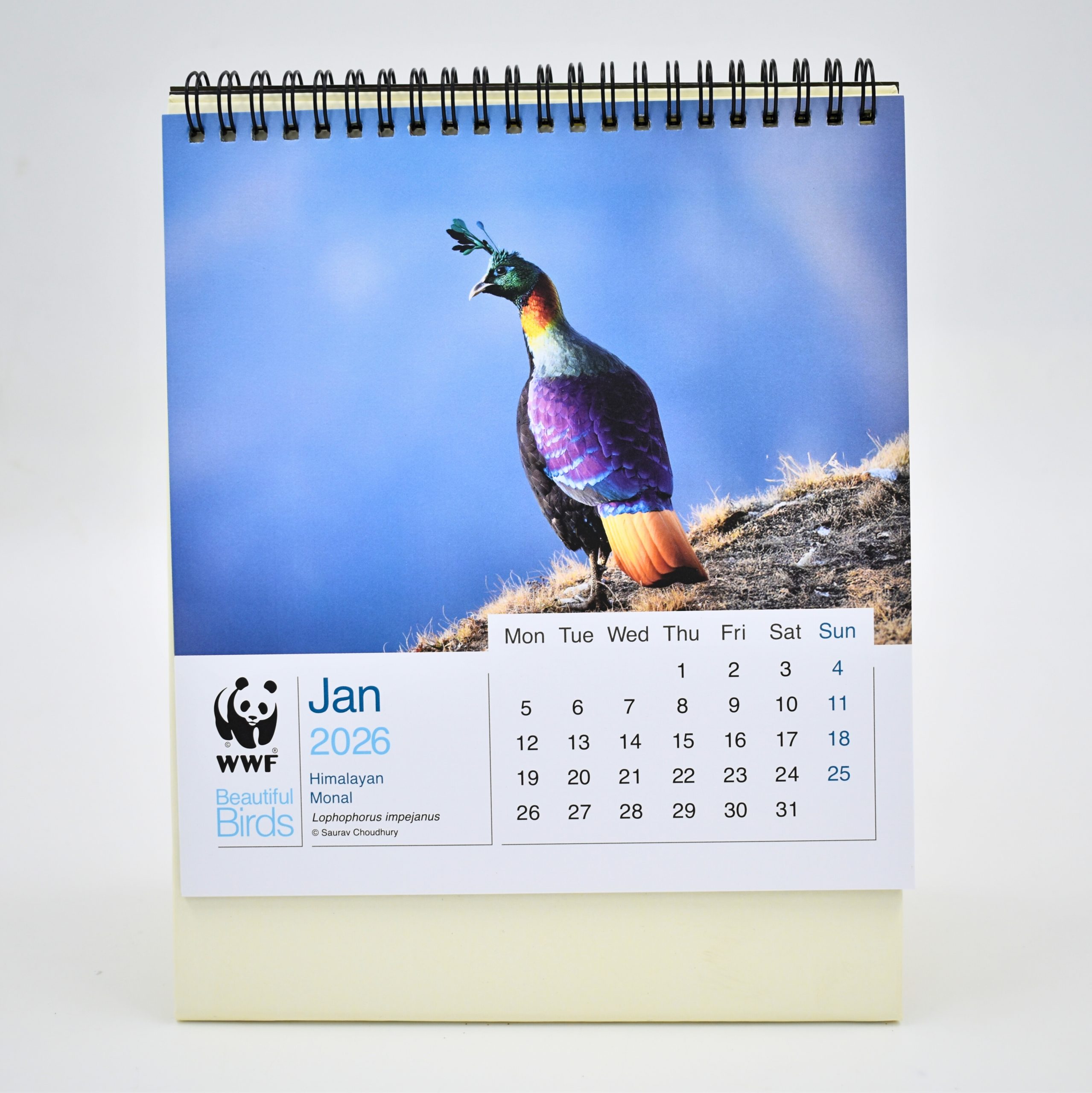 2026 Desk Calendar - Beautiful Birds - Image 2