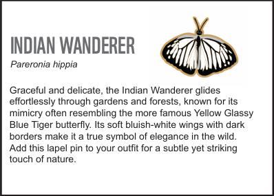 Indian Wanderer Butterfly (Pareronia hippia) - Lapel Pin - Image 2