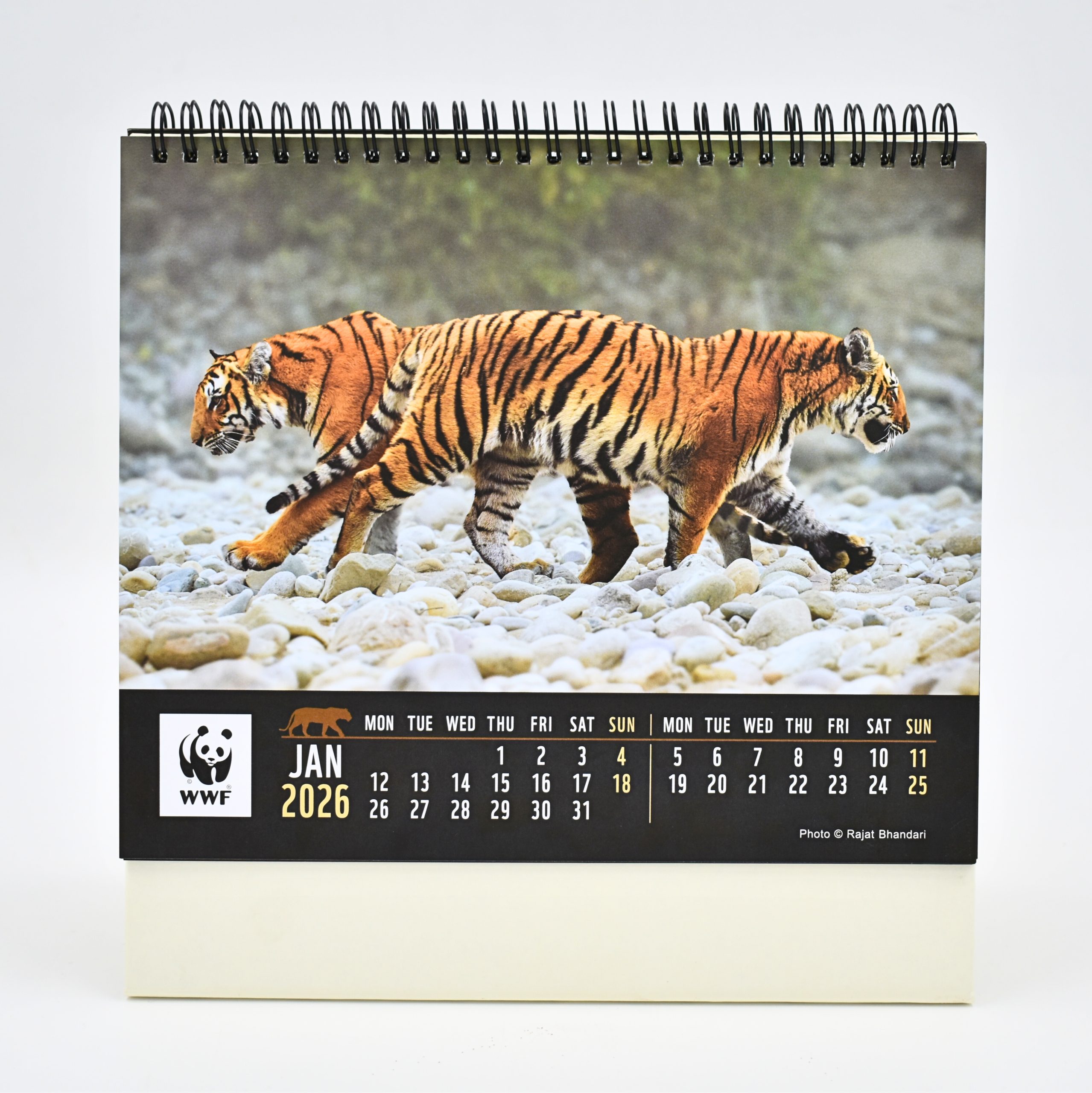2026 Desk Calendar - Tigers - Image 3