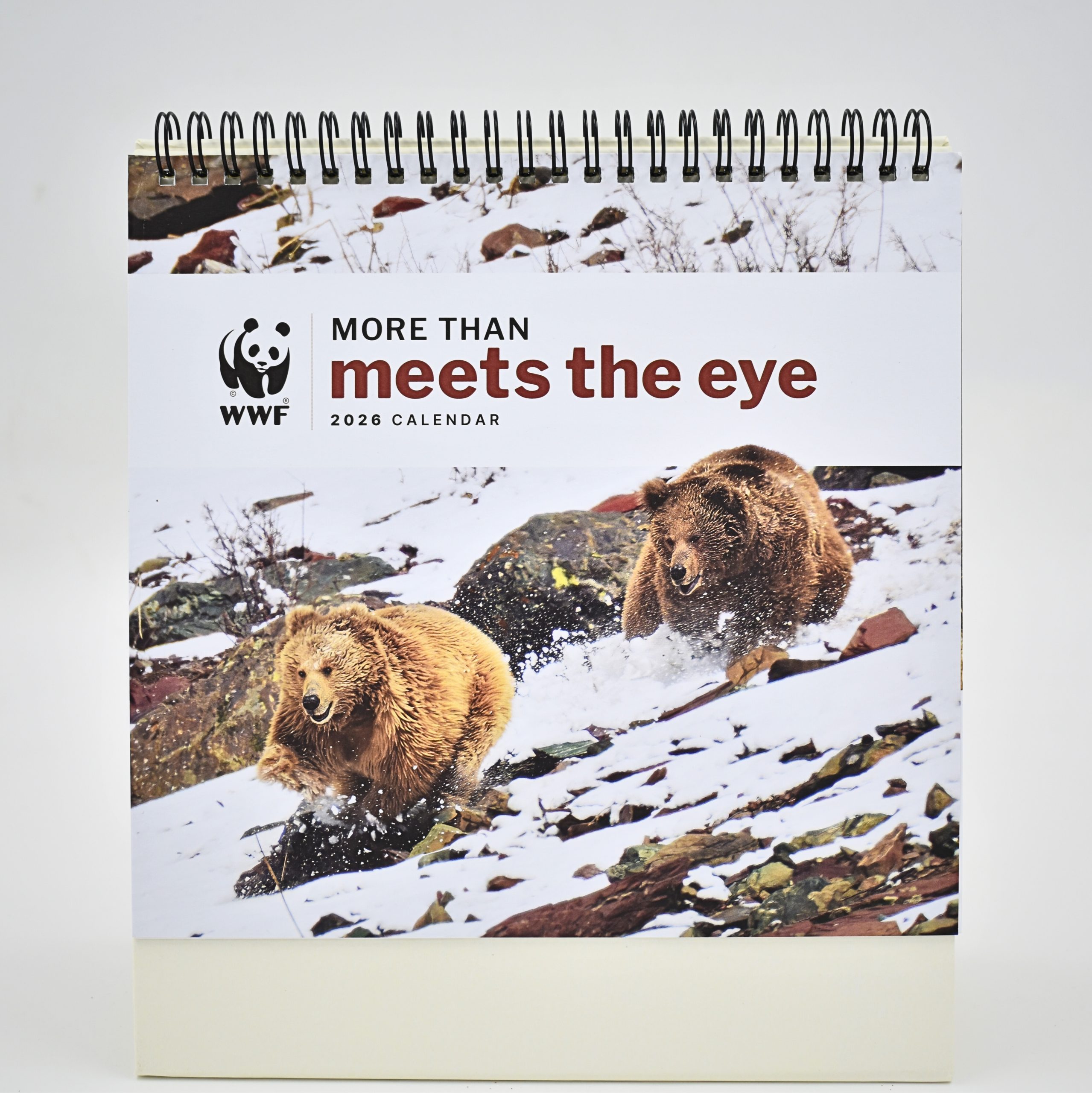 2026 Desk Calendar - More Than Meets the Eye