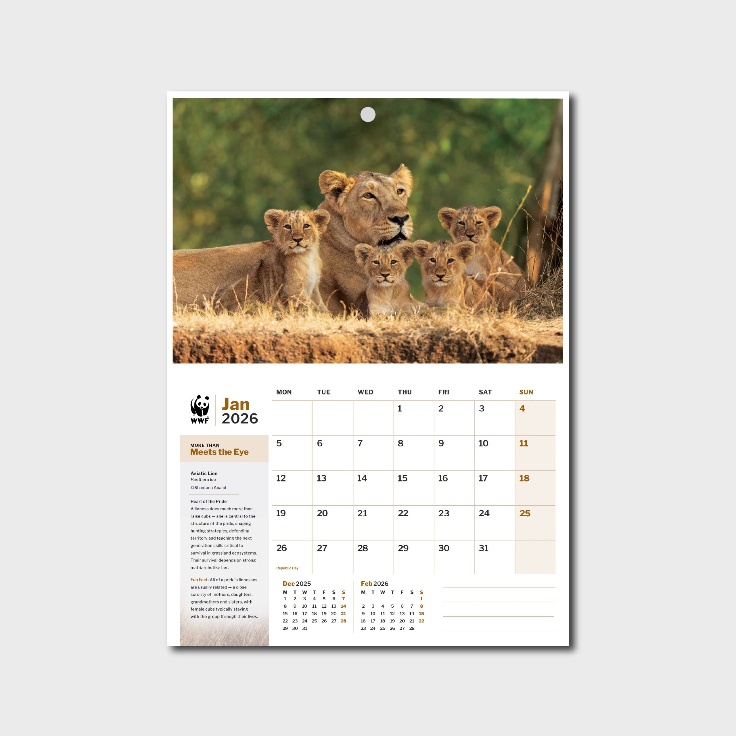2026 Wall Calendar - More Than Meets the Eye - Image 3