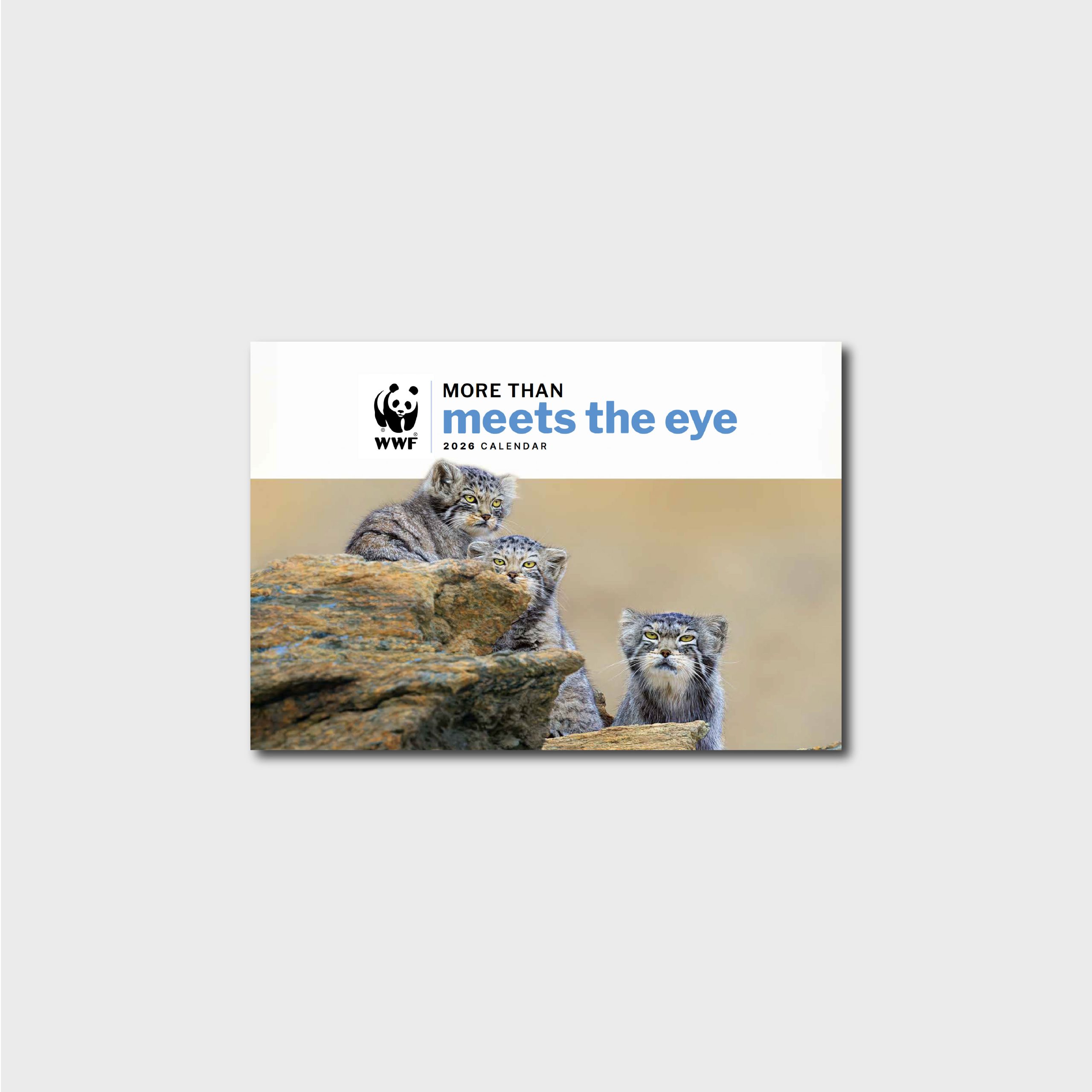 2026 Wall Calendar - More Than Meets the Eye