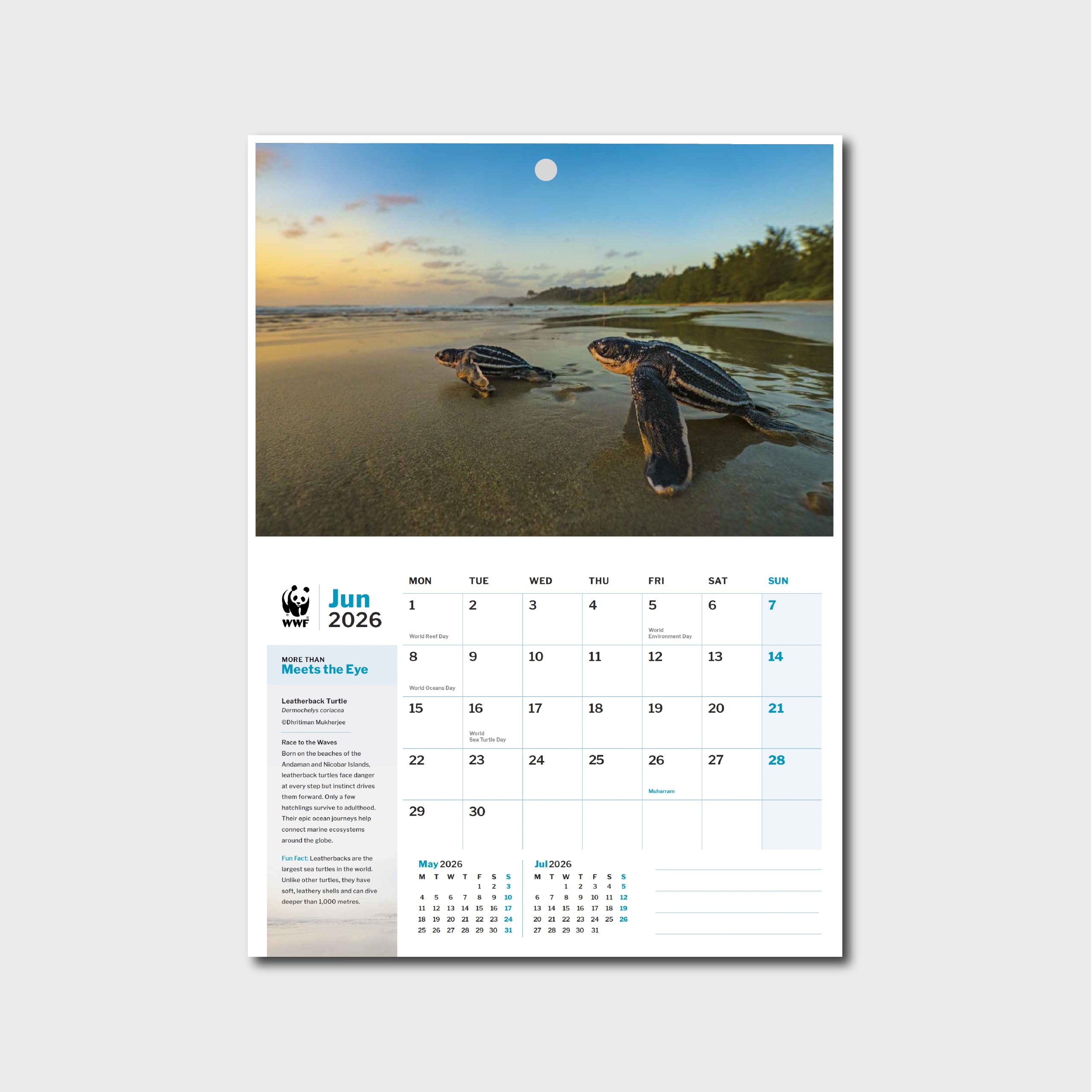 2026 Wall Calendar - More Than Meets the Eye - Image 2