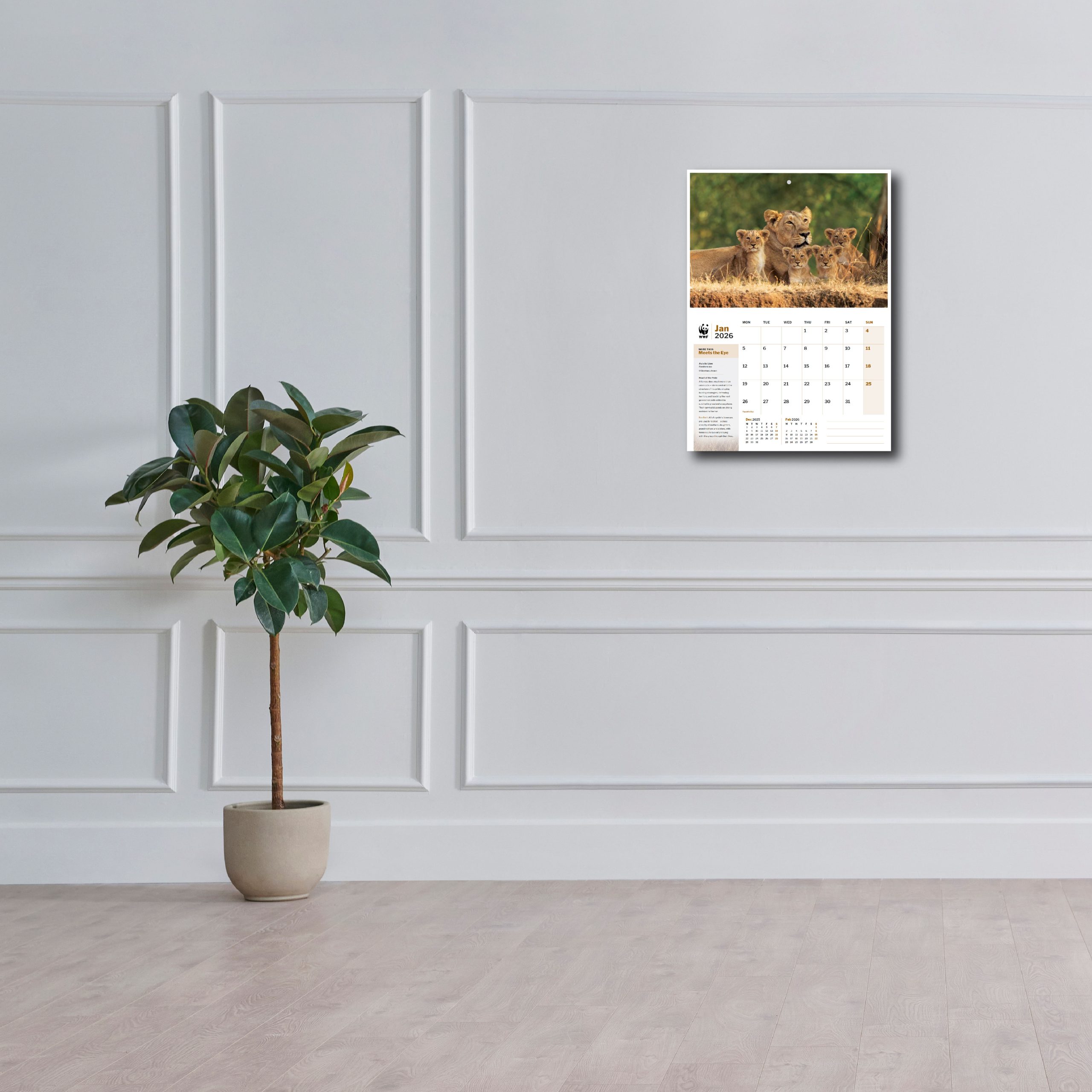 2026 Wall Calendar - More Than Meets the Eye - Image 4