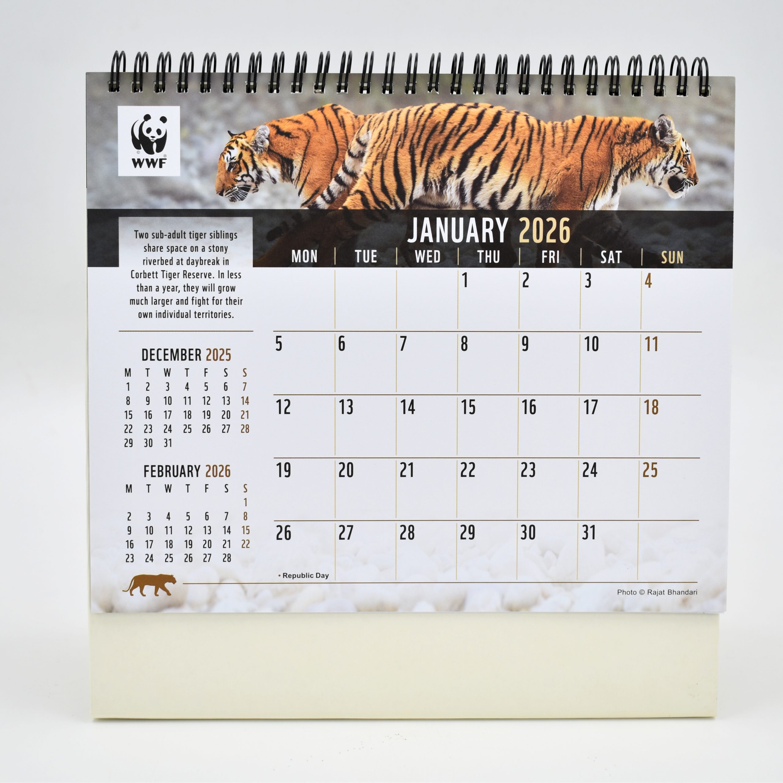 2026 Desk Calendar - Tigers - Image 2