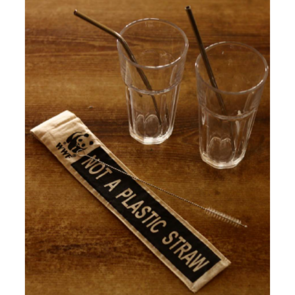 Stainless Steel Straw Set of 2 - Image 2