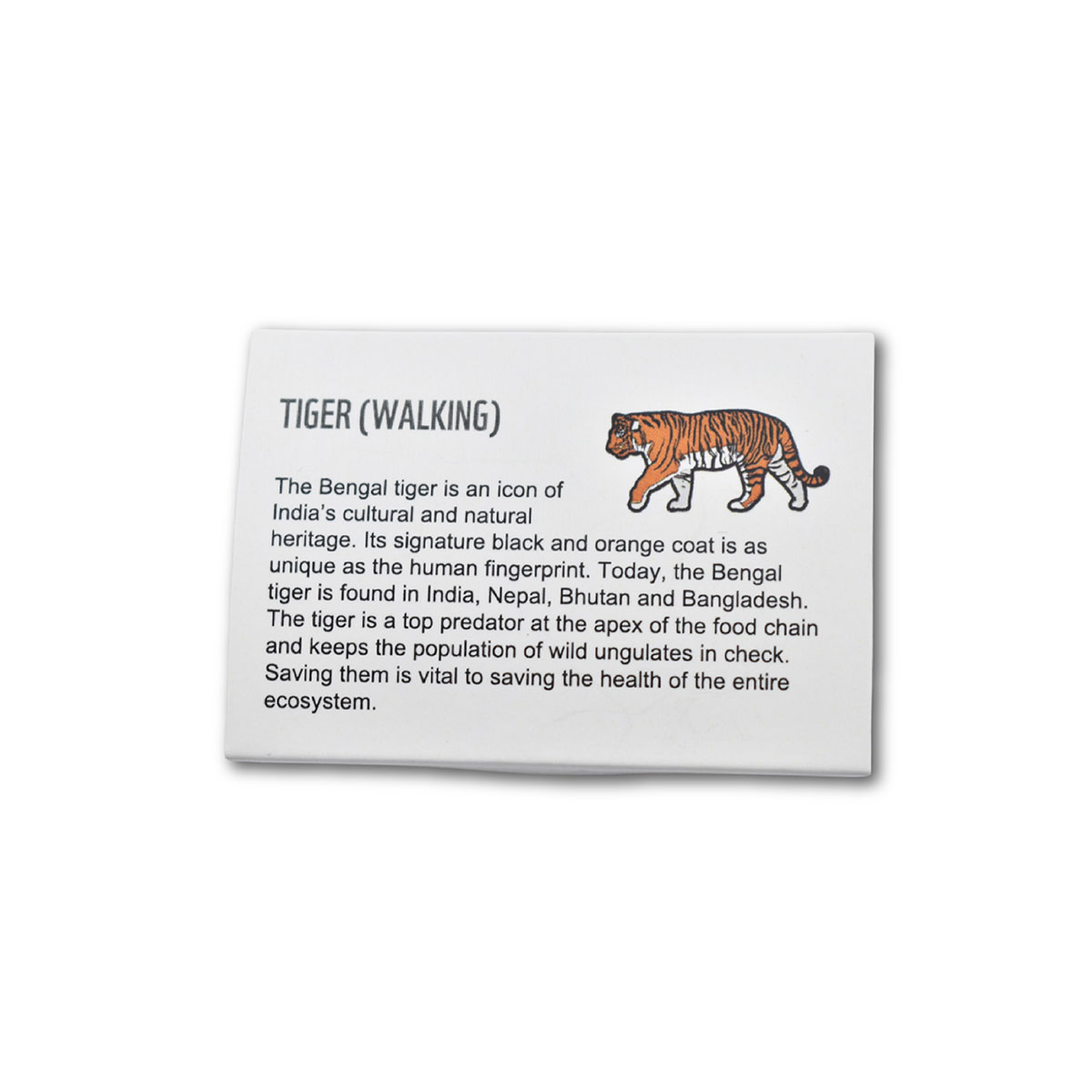 Tiger (walking)- Lapel Pin - Image 2