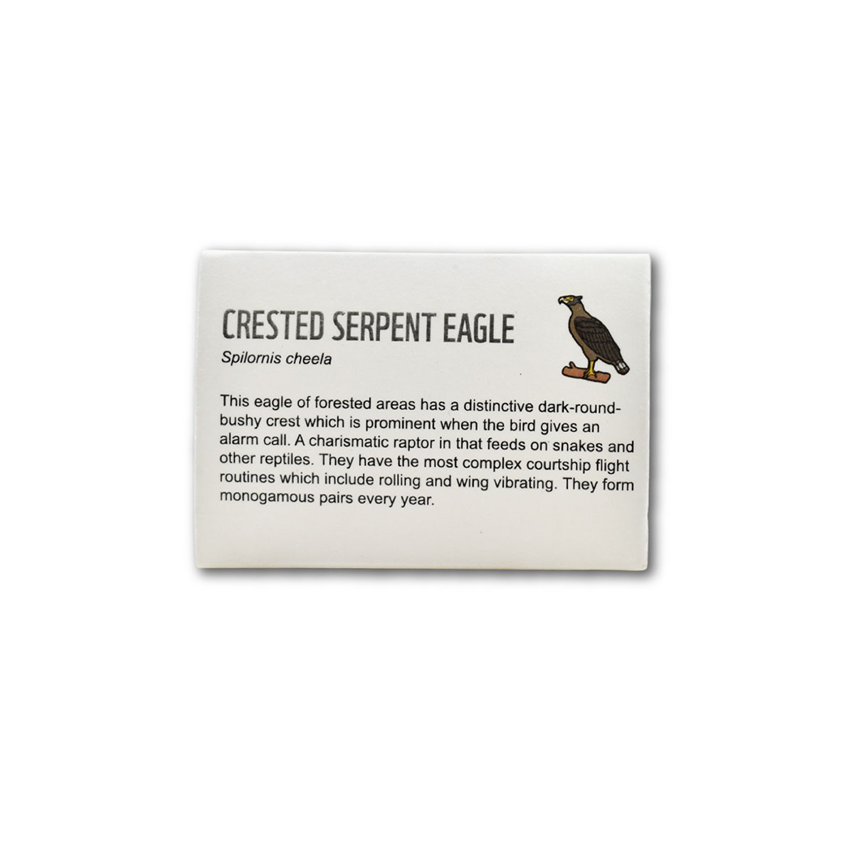 Crested Serpent Eagle- Lapel Pin - Image 2