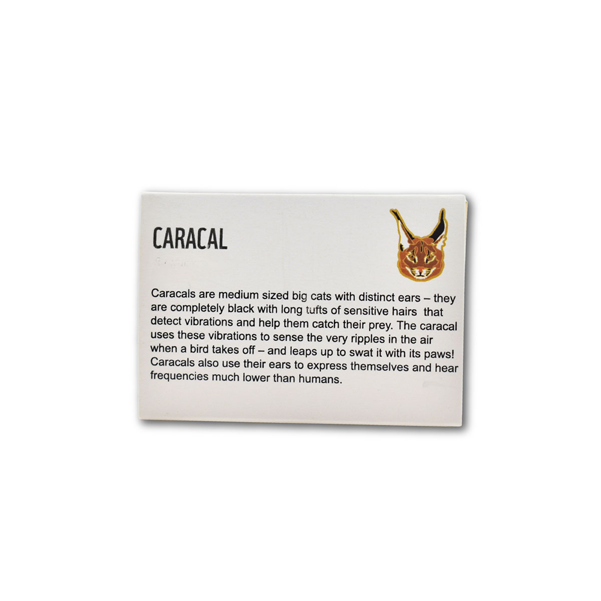 Caracal- Lapel Pin - Image 2