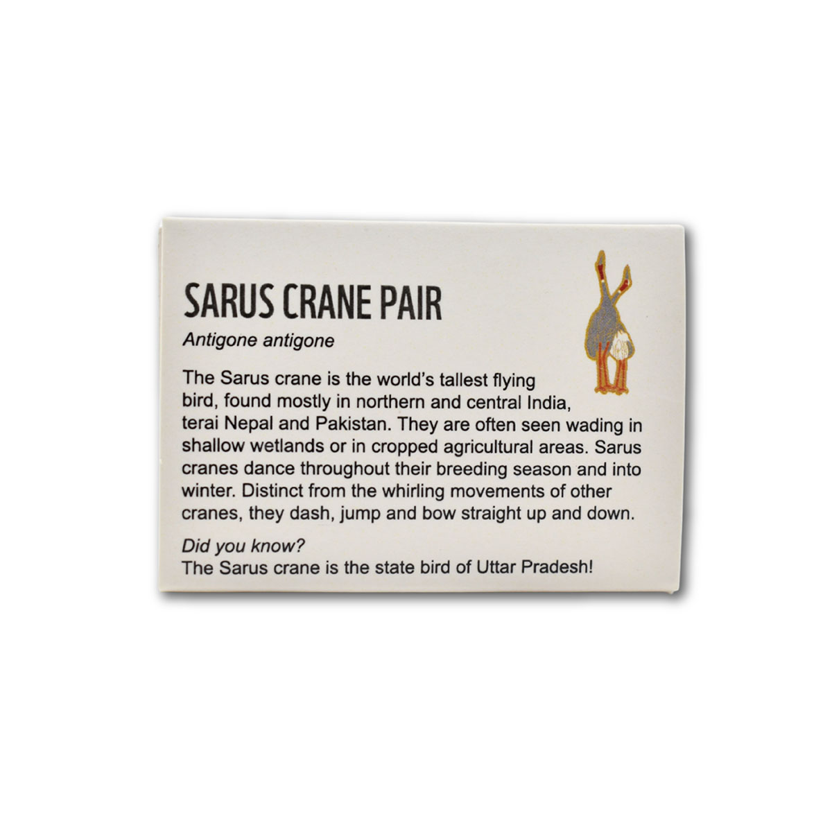 Sarus Crane Pair- Lapel Pin - Image 2