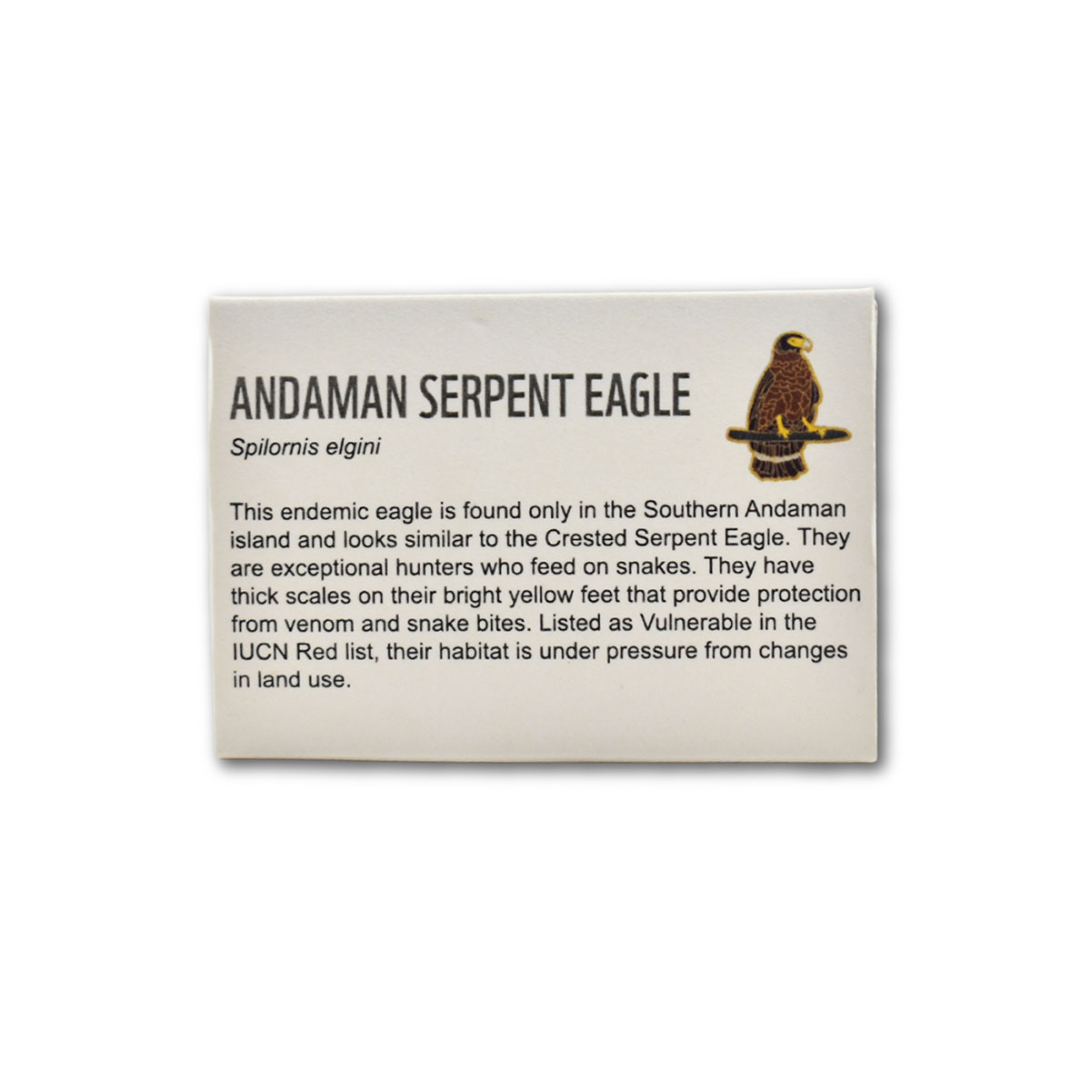 Andaman Serpent Eagle- Lapel Pin - Image 2