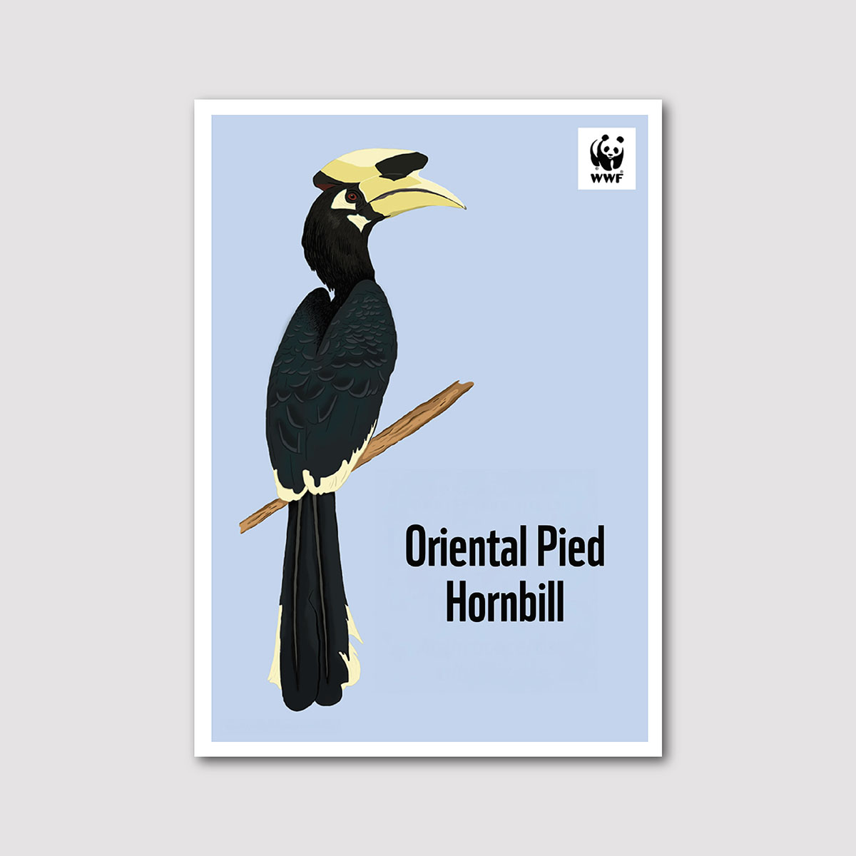 Hornbills of Darjeeling: Greeting Card Collection - Image 3