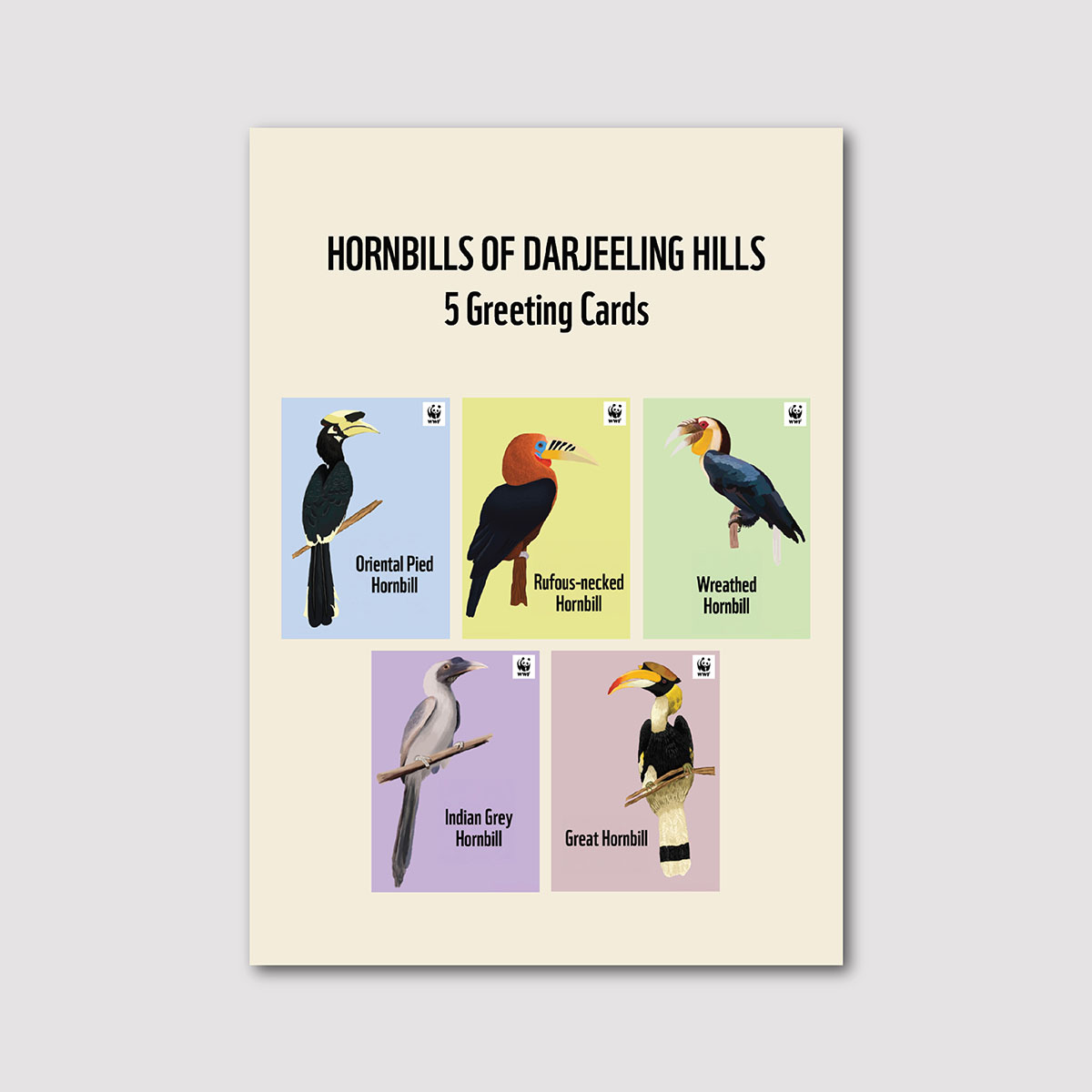 Hornbills of Darjeeling: Greeting Card Collection